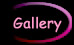Gallery.jpg (7287 bytes)
